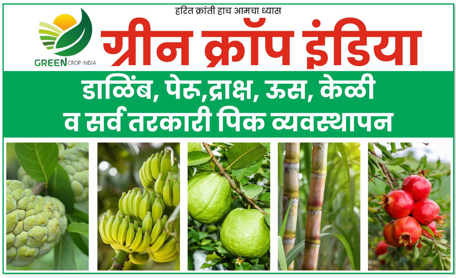 About Greencrop India